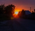 Beautiful sunset on the dusty street in front of the sun. Pink and orange sunset in the countryside