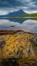 Beautiful sunset at Ensenada Zaratiegui Bay in Tierra del Fuego National Park, near Ushuaia and Beagle Channel, with colorful Royalty Free Stock Photo