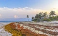 Beautiful sunset evening at beach coast with sea weed Mexico