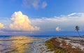 Beautiful sunset evening at beach coast with sea weed Mexico