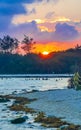 Beautiful sunset evening at beach coast with sea weed Mexico