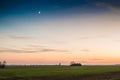 Beautiful sunset in field with small green plants and moon