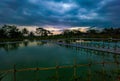 Beautiful sunset in a fish pond Royalty Free Stock Photo