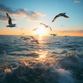 Beautiful sunset with flock of seagulls flying over the sea. Seagulls in the clouds of blue sky. Seagull flying in the Royalty Free Stock Photo