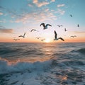 Beautiful sunset with flock of seagulls flying over the sea. Seagulls in the clouds of blue sky. Seagull flying in the Royalty Free Stock Photo