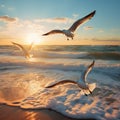 Beautiful sunset with flock of seagulls flying over the sea. Seagulls in the clouds of blue sky. Seagull flying in the Royalty Free Stock Photo