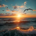 Beautiful sunset with flock of seagulls flying over the sea. Seagulls in the clouds of blue sky. Seagull flying in the Royalty Free Stock Photo