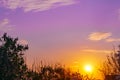 Beautiful sunset in the garden of the purple sky Royalty Free Stock Photo