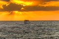 Beautiful sunset and golden twilight, and clouds and a longly cruise ship sailing on the Mediterranean Sea in Tel Aviv, Israel Royalty Free Stock Photo