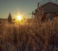 Beautiful sunset through the grass. In the winter sky Royalty Free Stock Photo