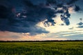 Beautiful sunset in green field, summer landscape, bright colorful sky and clouds as background, green wheat Royalty Free Stock Photo