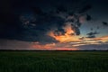 Beautiful sunset in green field, summer landscape, dark colorful sky and clouds as background, green wheat Royalty Free Stock Photo