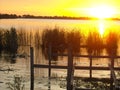 Sunset at the Estuaries Royalty Free Stock Photo