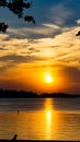 Beautiful Sunset By The Lake With A Puppy Silhouette