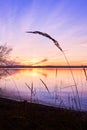 Sunset at Lake Starnberg Royalty Free Stock Photo