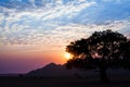 Beautiful sunset landscape, big crown tree and mountains silhouette on bright sky with blue, purple, red colors and white clouds b Royalty Free Stock Photo