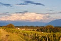 Beautiful sunset landscape, swiss village between forest and vineyards