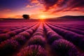 Beautiful sunset on a lavender field. Generative AI Royalty Free Stock Photo