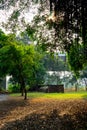 Beautiful sunset light in public park with falling leaf