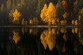 Beautiful sunset light on the shore of mountain lake during an a