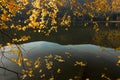 Beautiful sunset light on the shore of mountain lake during an a