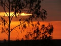 A beautiful sunset Royalty Free Stock Photo