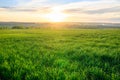 The beautiful sunset on a meadow in rural in springtime. Lush green grass in the foreground and small trees in the distance. The Royalty Free Stock Photo