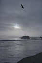 Beautiful sunset next to the pier of Santa Monica, seabird flying over through cloudy sky, the sea is calm