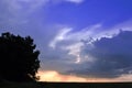 Beautiful sunset with oak tree silhouette, sunlight on horizon of golden pink sky Royalty Free Stock Photo