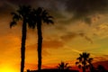 A beautiful sunset with orange and yellow colors in the sky the Mountains and palm trees in silhouette in the distance Arizona Royalty Free Stock Photo