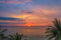 beautiful sunset over coconut trees