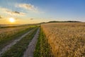 Beautiful sunset over countryside dirt gravel road and ripe wheat fields Royalty Free Stock Photo