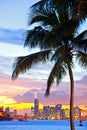 Beautiful sunset over Downtown and the Port of Miami Royalty Free Stock Photo
