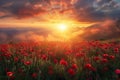 A beautiful sunset over a field of red poppies Royalty Free Stock Photo