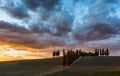 Beautiful sunset over fields