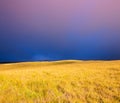 Beautiful Sunset over Golden Field Royalty Free Stock Photo