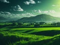 Beautiful sunset over green fields. Royalty Free Stock Photo