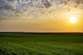 Beautiful sunset over green fields of young wheat and over fields prepared for crops in spring. Orange evening glow Royalty Free Stock Photo