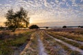 Beautiful sunset over heathland and Poole Harbour Royalty Free Stock Photo