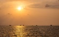 Beautiful sunset over Indian ocean Royalty Free Stock Photo