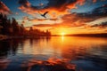 Beautiful sunset over the lake with a bird flying above the water Royalty Free Stock Photo