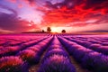 Beautiful sunset over lavender field in Provence, France. Generative AI Royalty Free Stock Photo