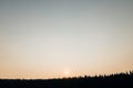 Sunset over the mountain pine forest