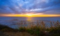 Beautiful sunset over the Pacific ocean, Big Sur, California. Cloudy sky, quiet water, and native plants in golden sunlight Royalty Free Stock Photo