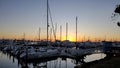 Sailboats Tethered at the Marina Dock at Sunset in San Diego California