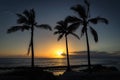 Beautiful sunset over pacific ocean and three palms on Oahu Royalty Free Stock Photo