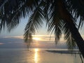 Beautiful sunset over palm trees on the background of the ocean in Thailand Royalty Free Stock Photo