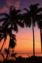 Tropical Beqa Island Fiji Sunset Royalty Free Stock Photo