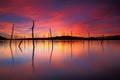 Beautiful sunset over a peacefull lake Royalty Free Stock Photo