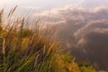 Beautiful sunset over the river. Beach with grass, plants and sedge in the sunlight. Reflection of clouds in water Royalty Free Stock Photo